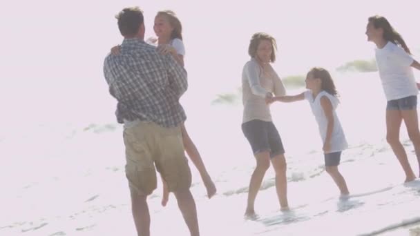 Parents with daughters playing on beach — Stock Video