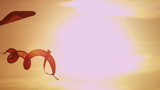 Létající drak s spirále ocáskem — Stock video