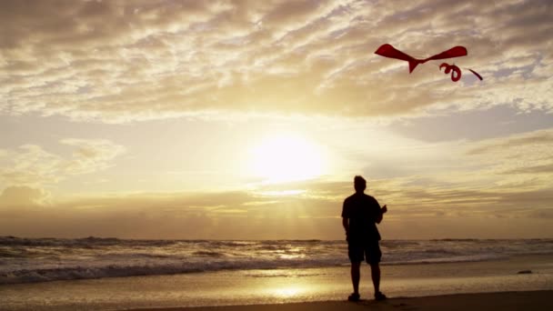 Mannelijke silhouet met vliegende kite — Stockvideo
