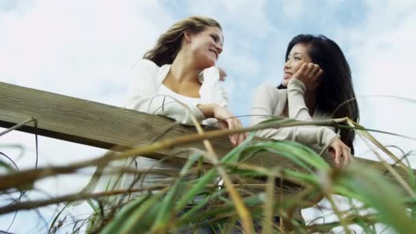 Mujeres disfrutando del aire fresco en la playa — Vídeos de Stock