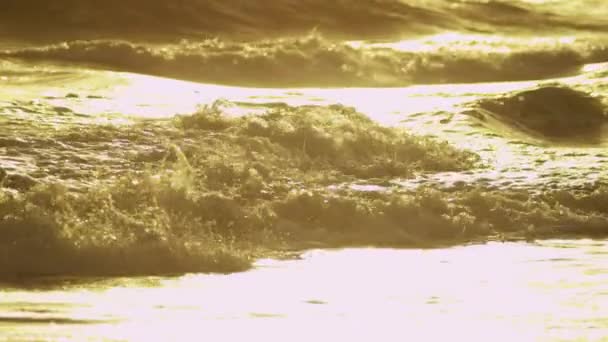 Golden sunset over ocean waves — Stock Video