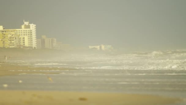 Waves crashing onto sandy beach — Stock Video