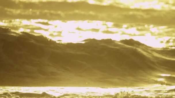 Golden sunset over ocean waves — Stock Video