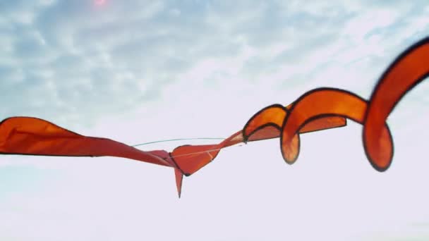 Летящий змей со спиральным хвостом — стоковое видео