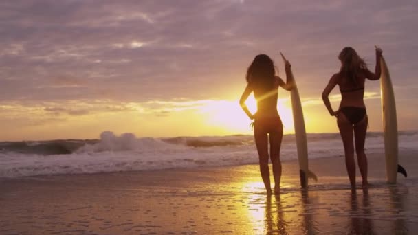 Girls holding surfboards on beach — Stock Video