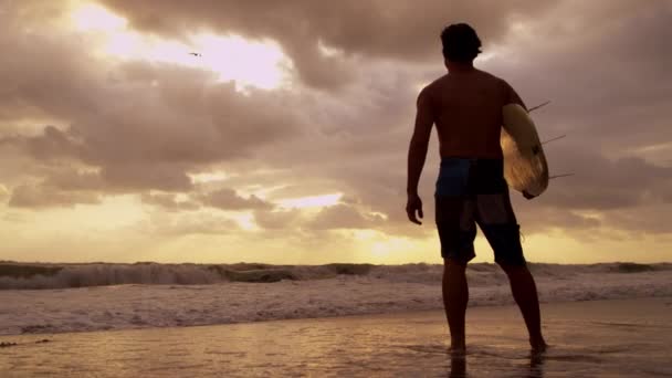 Surfista en la playa viendo olas — Vídeo de stock