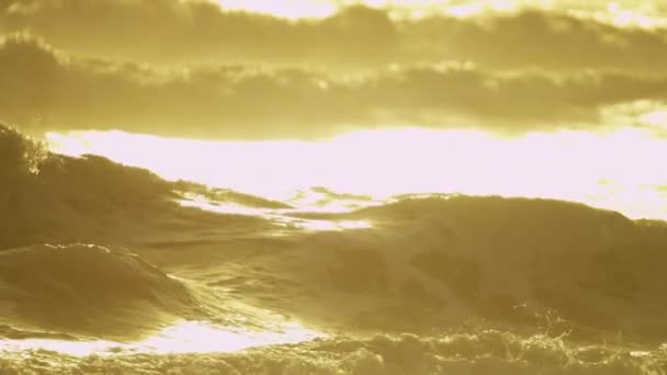 Golden Sunset Over oceanu fale — Wideo stockowe
