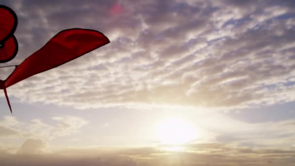 Flying kite met spiraal staart — Stockvideo