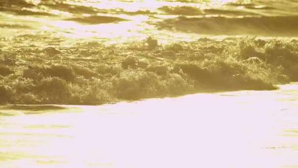 Golden sunset over ocean waves — Stock Video