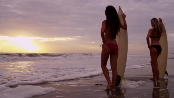 Meninas segurando pranchas de surf na praia — Vídeo de Stock