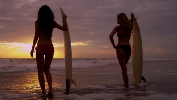 Girls holding surfboards on beach — Stock Video