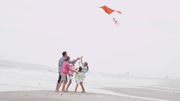 Familj ha kul med kite på stranden — Stockvideo