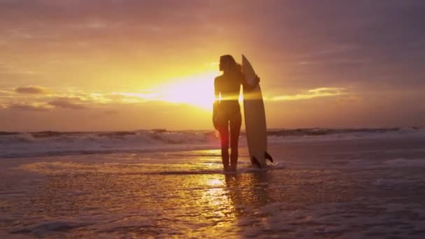 Donna in spiaggia al tramonto — Video Stock