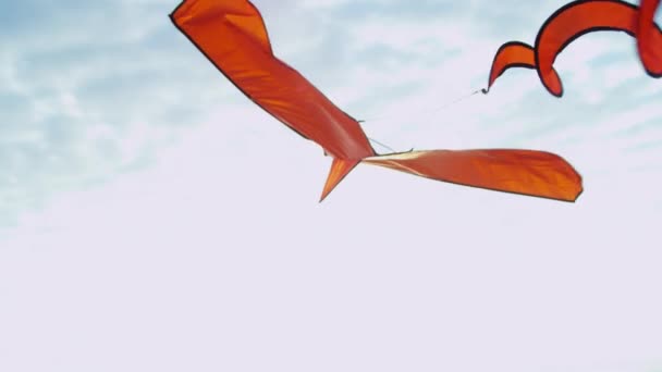 Flying kite with spiraling tail — Stock Video