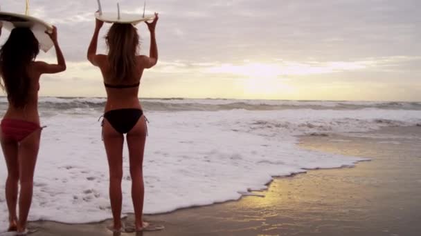 Mädchen mit Surfbrettern am Strand — Stockvideo