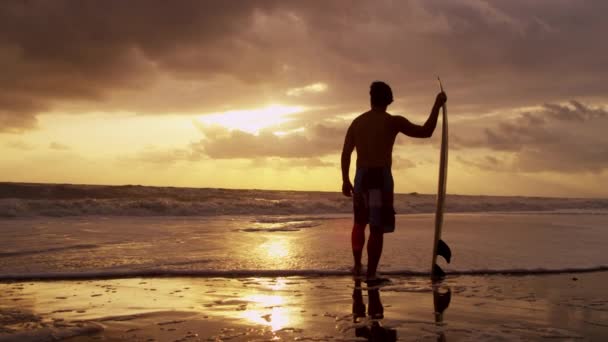 波を見てビーチでサーファー — ストック動画