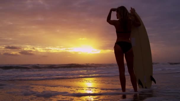 Donna in spiaggia al tramonto — Video Stock