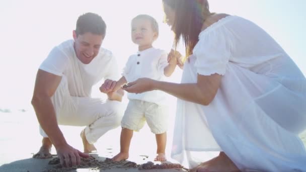 Pais com filho na praia arenosa — Vídeo de Stock