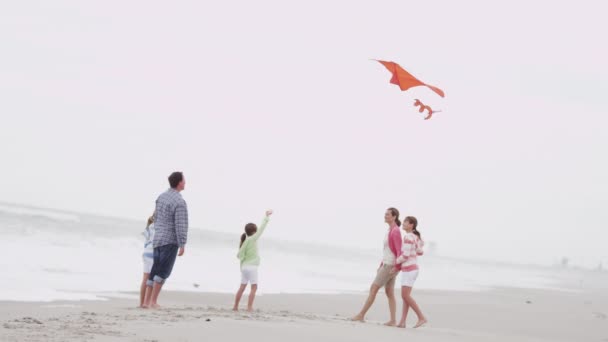 Οικογένεια που διασκεδάζει με χαρταετό στην παραλία — Αρχείο Βίντεο