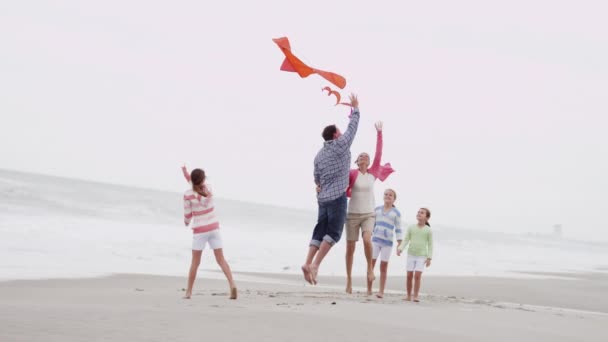 Familia divirtiéndose con cometa en la playa — Vídeos de Stock