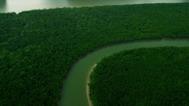 Bahía Phang nga Karsts de piedra caliza en Tailandia — Vídeos de Stock