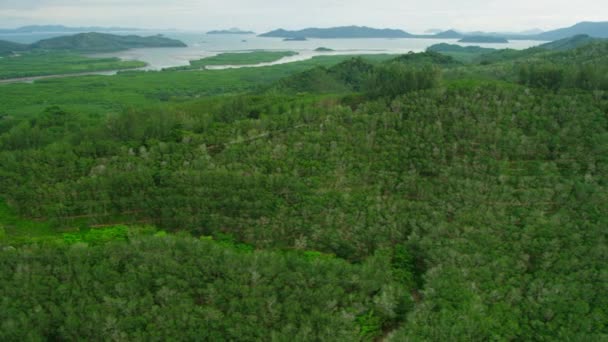 Vista aérea da baía de Phang Nga — Vídeo de Stock