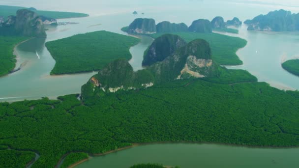 Zones humides de la baie de Phang Nga en Thaïlande — Video