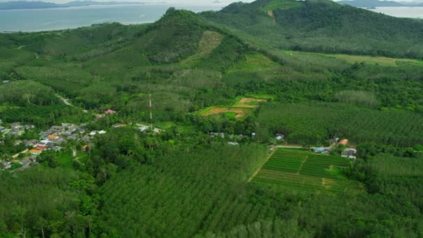 Plantaciones de árboles de caucho y bosques de manglares en Tailandia — Vídeo de stock