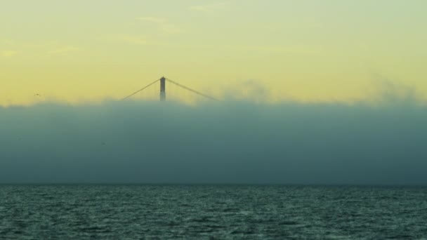 Mořská mlha nad vodou v sanfranciské zátoce — Stock video