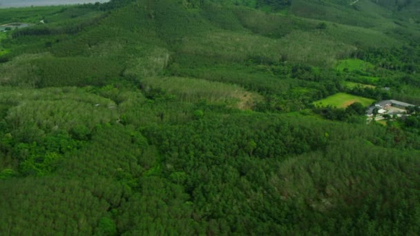 Plantaciones de árboles de caucho y bosques de manglares en Tailandia — Vídeos de Stock