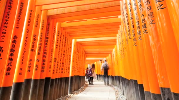 Tempo limite portões Torii em Kyoto — Vídeo de Stock