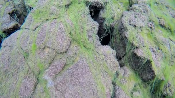 Islândia Silfra Thingvellir National Park — Vídeo de Stock