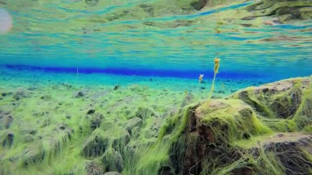 Islande Silfra Thingvellir sous l'eau — Video