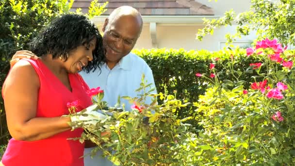 Ethnic mature couple pruning plants in garden — Stock Video