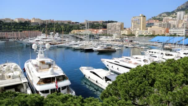 Monte Carlo havn med luksusbåter – stockvideo