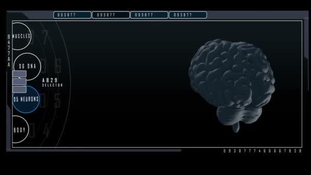 Neuronas y estructura del cuerpo humano — Vídeo de stock