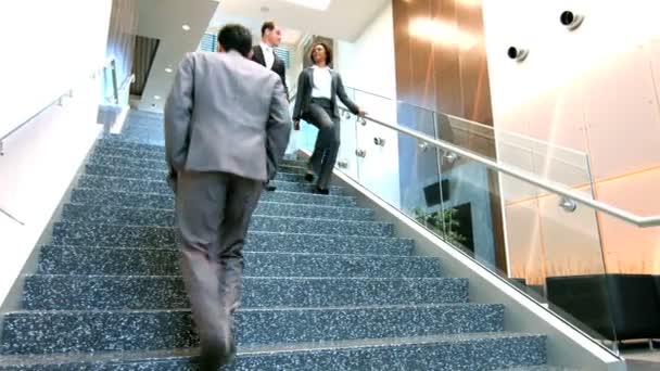 Hommes d'affaires multiethniques dans un immeuble de bureaux — Video