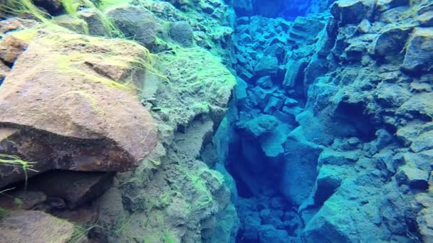 İzlanda Silfra Thingvellir Milli Parkı — Stok video