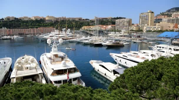 Port de Monte Carlo avec des yachts de luxe — Video