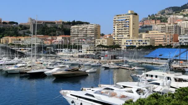 Port de Monte Carlo avec des yachts de luxe — Video
