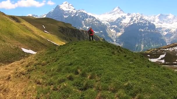 Žena jde turistika ve švýcarských Alpách — Stock video