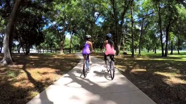 Multi etniska kvinnor ridning cyklar i parken — Stockvideo