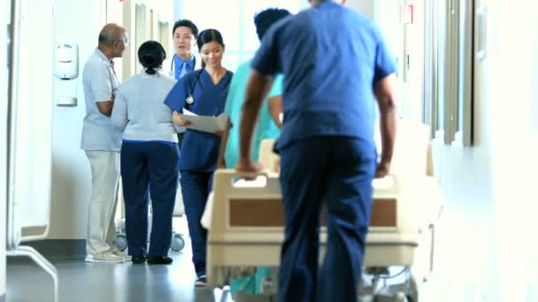 Médecin consultant des patients à l'hôpital — Video