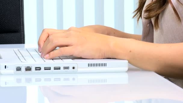 Donna d'affari che utilizza il computer portatile wireless — Video Stock