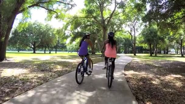 Mujeres multiétnicas montando bicicletas en el parque — Vídeos de Stock