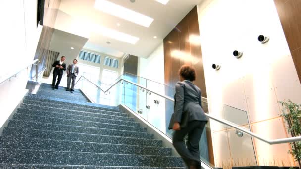 Pessoas de negócios multi étnicos no prédio de escritórios — Vídeo de Stock