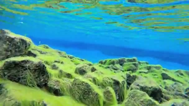 Islande Silfra Thingvellir sous l'eau — Video