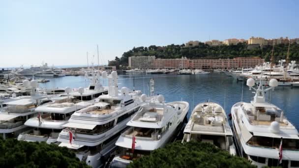 Monte Carlo hamn med lyxbåtar — Stockvideo