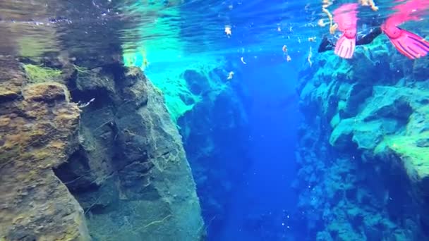 Island Silfra Þingvellir under vattnet — Stockvideo