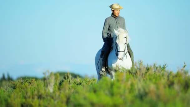 Vaquero montando en blanco caballo Camargue — Vídeos de Stock